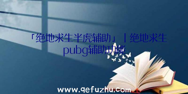 「绝地求生半虎辅助」|绝地求生pubg辅助功能